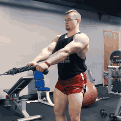 Cable face pull demonstration
