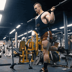 Split squat demonstration